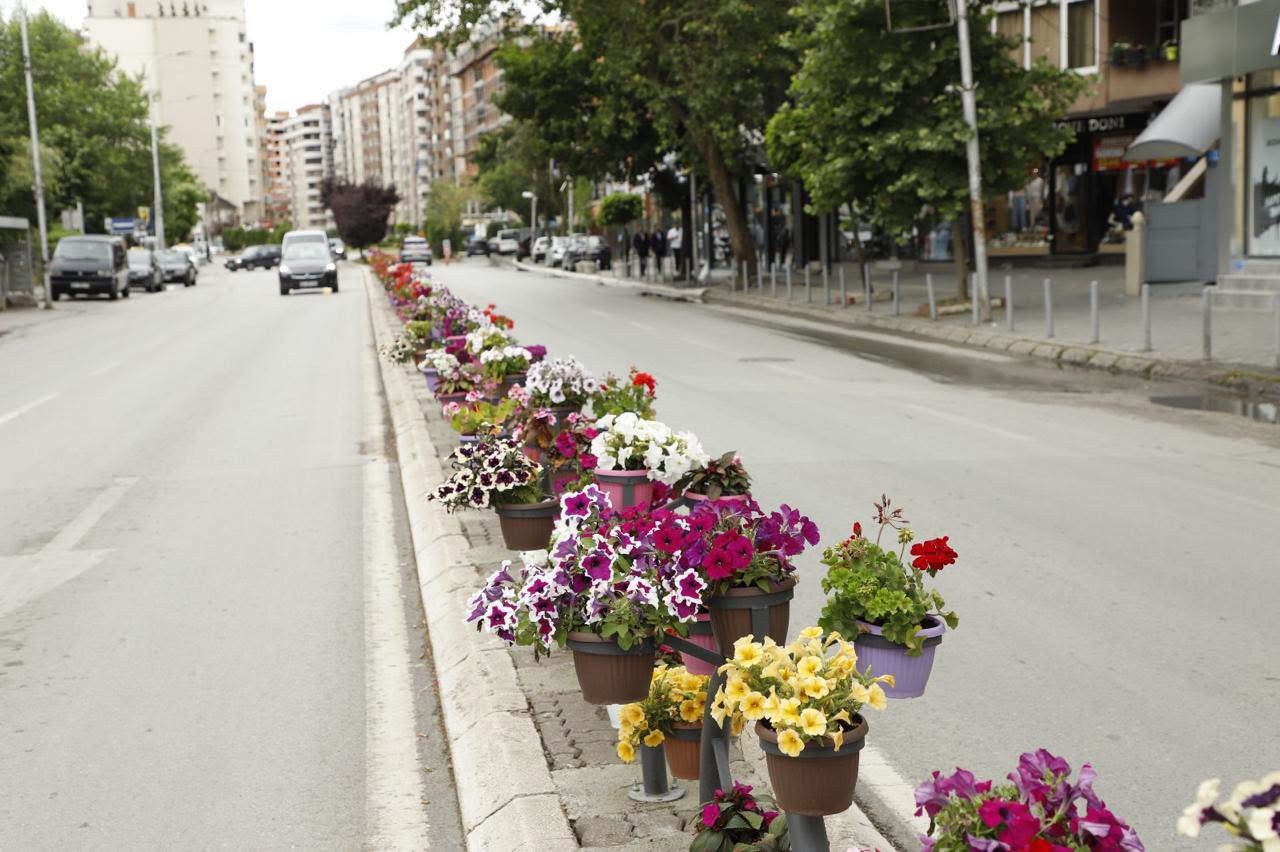 Mijëra lule dhe struktura metalike për 800 euro: Reagon zyrtarisht Komuna e Mitrovica