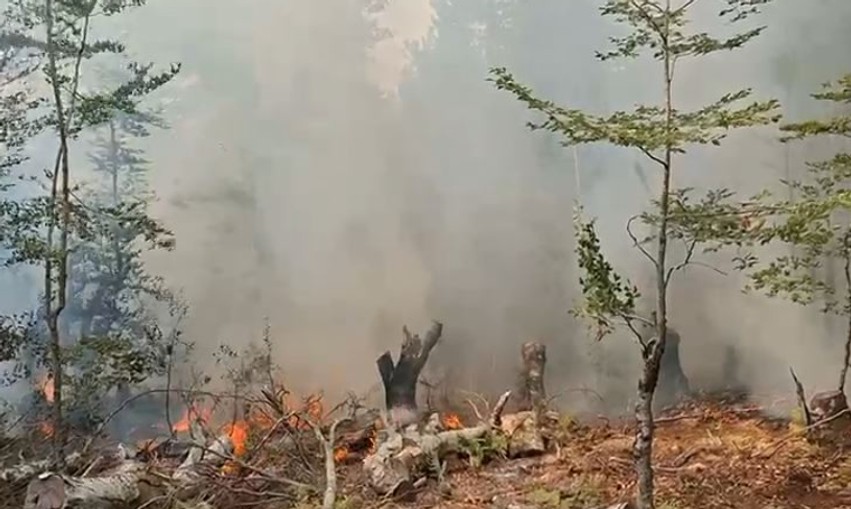 Beteja me zjarrin në Gjinar: Terreni i thyer pengon operacionin e shuarjes