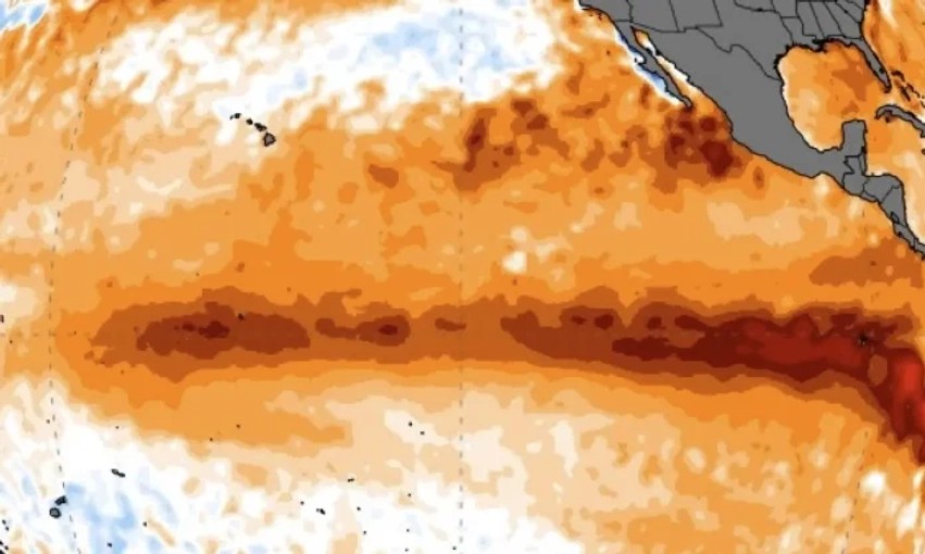 Kërcënimi i El Niño-s: Kombet e Bashkuara alarmojnë për rrezikun e urisë dhe varfërisë ekstreme globale