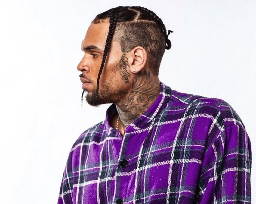 Dëmshpërblim milionësh për ish-pastruesen pas sulmit brutal nga qeni i Chris Brown