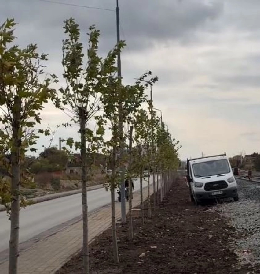 Aksioni i gjelbërimit në Obiliq: Pema e re mbillen edhe gjatë fundjavës