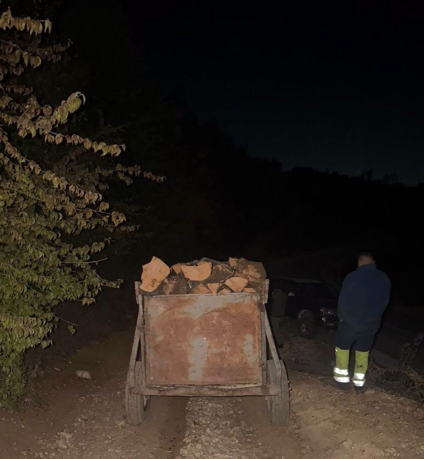 Aksion në agim kundër prerjeve ilegale: Sekuestrohen sasi drush në Ferizaj dhe Shtërpcë