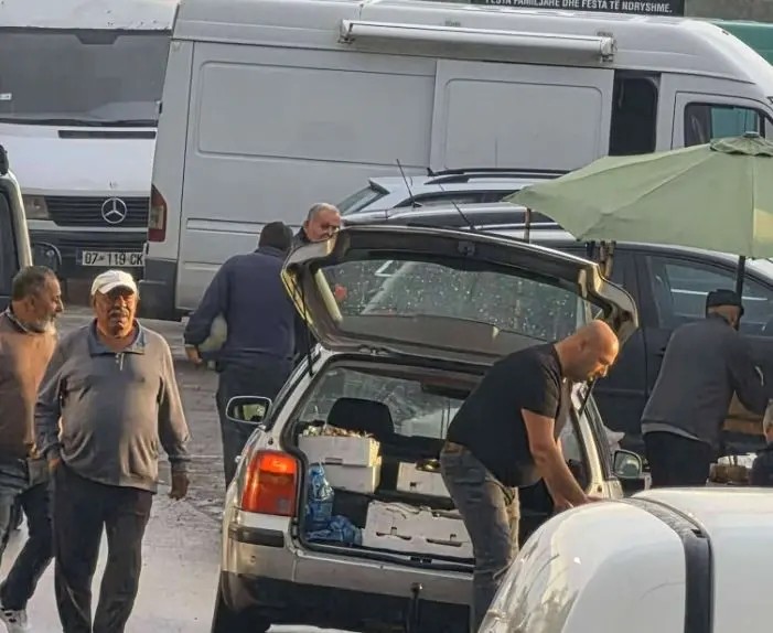 Prizren: Sekuestrohet dhe shkatërrohet sasi e peshkut që tregtohej në mënyrë të paligjshme
