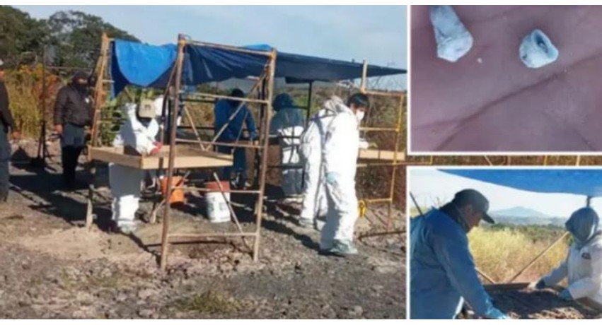 Meksikë: Zgjohen dyshimet për krim të tmerrshëm, zbulohen rreth 1600 dhëmbë fëmijësh në një vendgjarje të dyshimtë