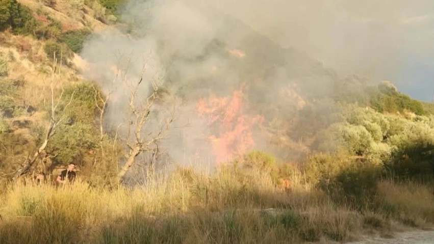 Flakët kaplojnë ullishtet shekullore në Fier, shoqërohet 78-vjeçari