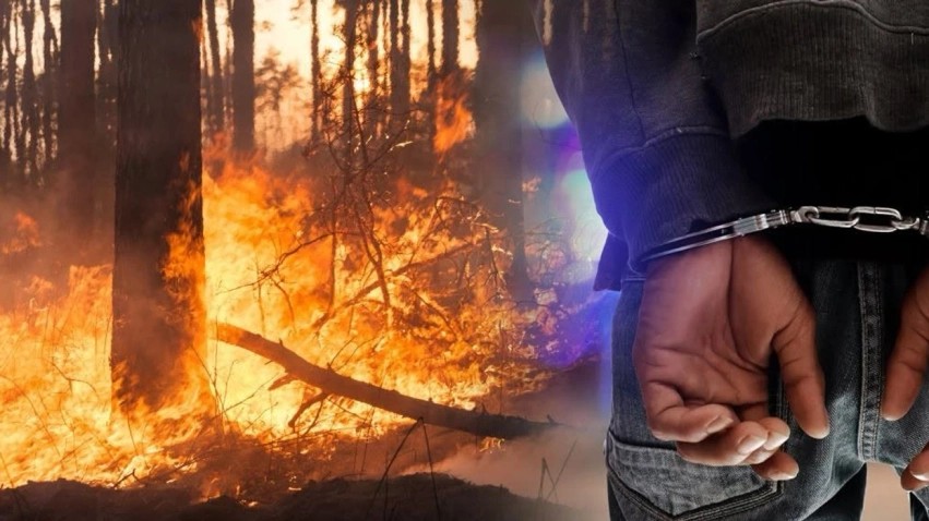 Shkup: Policia prangos tre të mitur, dyshohen se i vunë zjarrin parkut pyjor