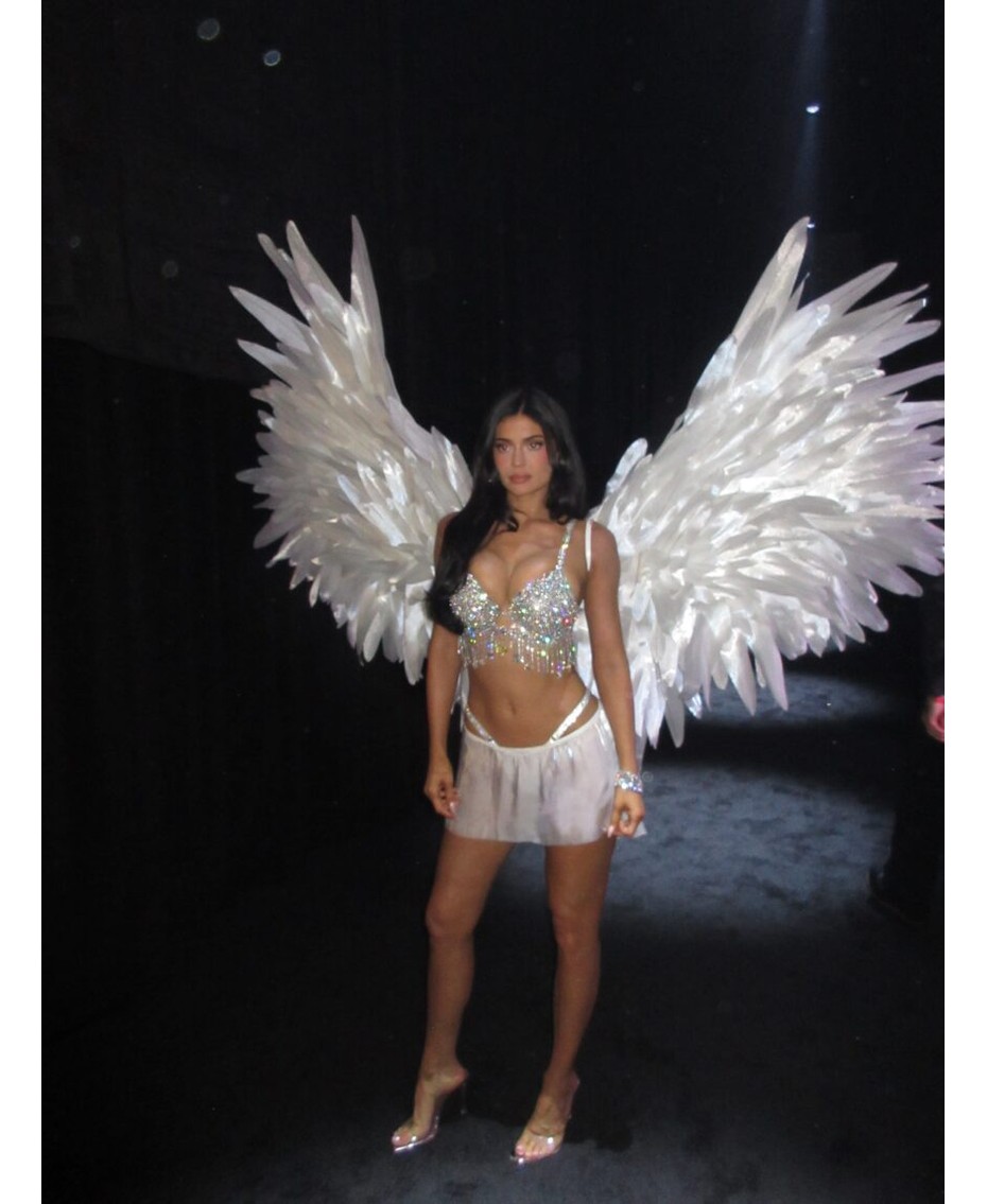 Valë pakënaqësie dhe debate në rrjet: Pse publiku doli kundër Kylie Jenner te Victoria’s Secret?