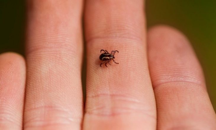 Kina identifikon një patogjen të ri: Zbulohet nairovirusi i transmetueshëm nga rriqrat