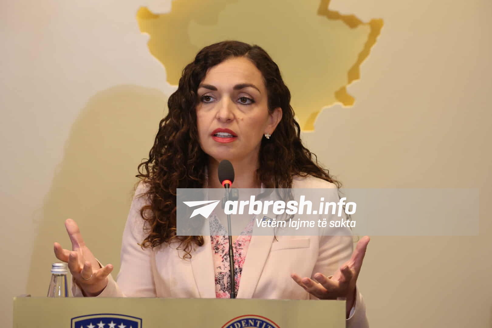 Inkuadrimi në NATO, orientim strategjik jetik për Kosovën: Mesazhi i fortë i deputetes