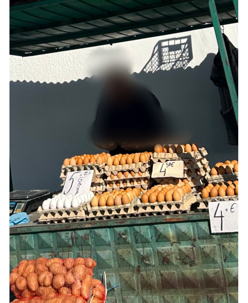 Kostoja e jetesës në rritje: Pakoja me 30 vezë arrin deri në 5 euro, qytetarët ngrenë alarmin për çmimet