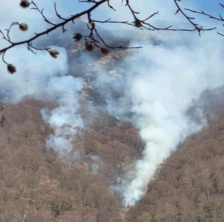 Flakë në Malin Sharr: Zjarr mbi Liqenin e Bogovinës, autoritetet japin detajet e para