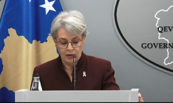 Tragjedia e Arlinda Zekajt, Gërvalla: Institucionet kishin marrë sinjale paralajmëruese për rrezikun